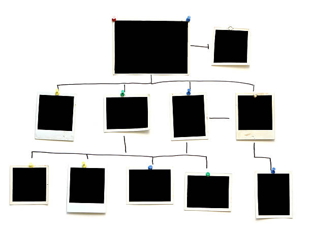 crear diagrama parentesco